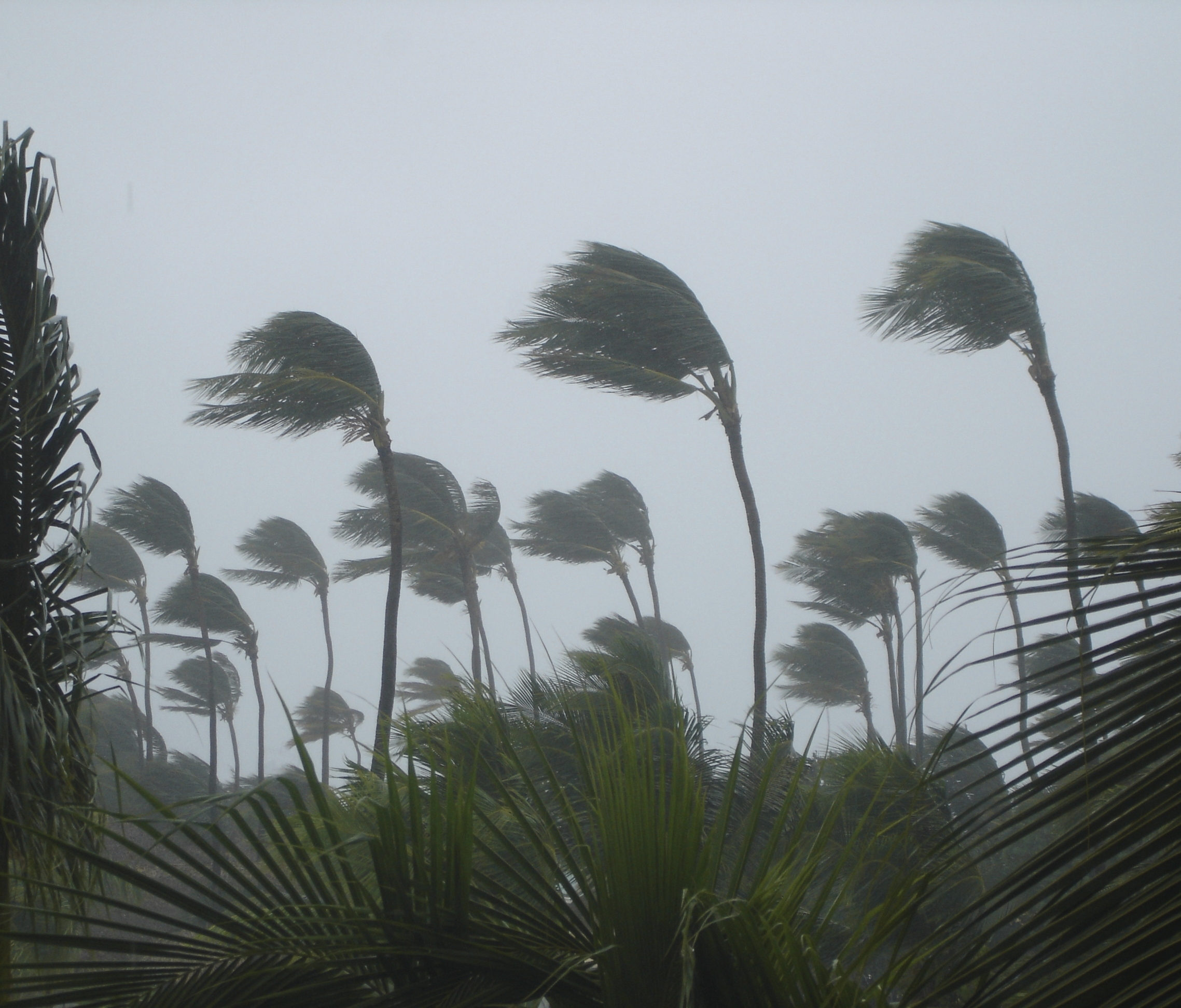 Hurricane Conditions in Hawaii